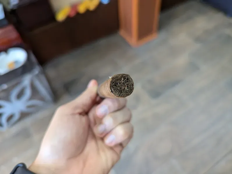 Corona Junior Medium