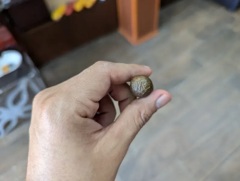 Corona Junior Medium