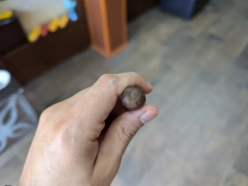 Corona Junior Maduro